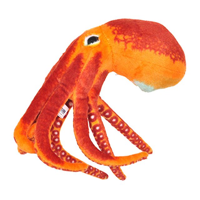 1pcs Jouet en Peluche Pacifié