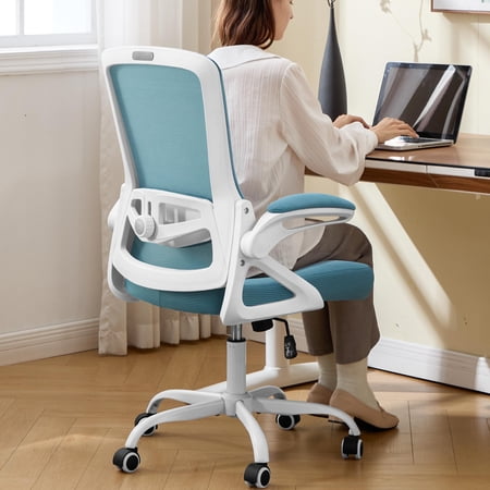 Ergonomic Office Chair Desk Chair with Adjustable Lumbar Support Breathable Mesh Comfy Computer Chairs with Flip-up Armrests Executive Task Chair for Adults Home Office(Black)