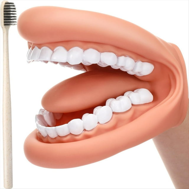 1 Piezas de Marioneta de Boca con Dientes de Lengua Boca Marioneta de Mano Modelo de Boca Dental con Cepillo de Dientes para Niño Niña Herramienta Educativa
