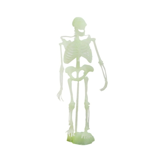 Noctilucent Dinosaur Human Skeleton Model Assembly Skull Toy Bones Decor