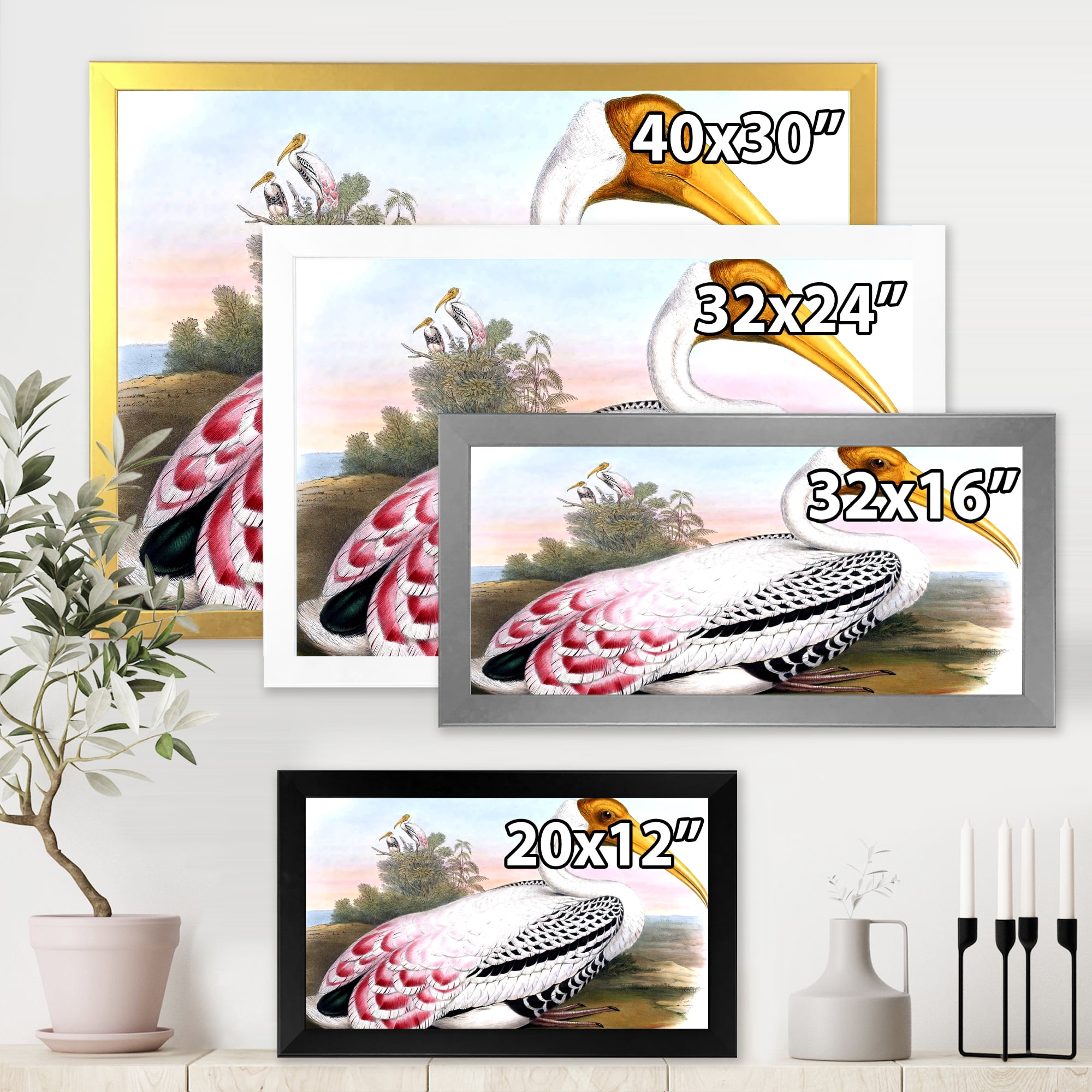 Designart 'Vintage Countryside White Birds' Farmhouse Framed Art Print
