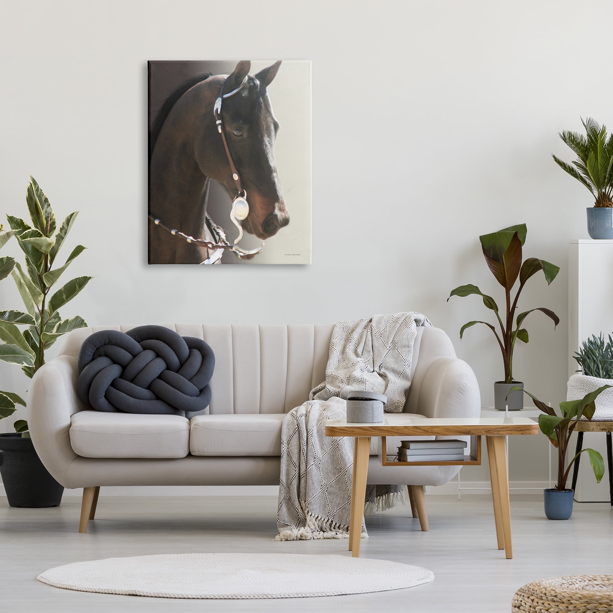 Stupell Industries Horse with Bridle Animals & Insects Photography Gallery Wrapped Canvas Art Print Wall Art, 30 x 40