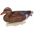 thumbnail image 3 of Flambeau Storm Front Classic Mallard Decoys -12 Count 8030SUV, 3 of 7