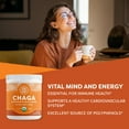 thumbnail image 2 of VIMERGY USDA Organic Wild Chaga Mushroom Extract Powder, 33 Servings, 2 of 4