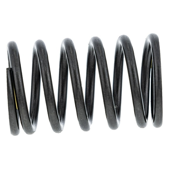 Kohler KH25-089-17-S Spring Valve