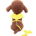 thumbnail image 2 of Walbest Cat Harness and Leash Set for Walking Cat and Small Dog Harness Soft Wings Harness Adjustable Cat Vest Harness Comfort Fit for Pet Kitten Puppy Rabbit (XS, Yellow), 2 of 7