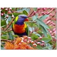 thumbnail image 1 of Bird Picture Ceramic Tile Mural Kitchen Backsplash Bathroom Shower 404158-XL43, 1 of 3