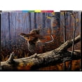 thumbnail image 2 of Goebel, Wilhelm 18x15 White Modern Wood Framed Museum Art Print Titled - Windfall Glider - Ruffed Grouse, 2 of 4
