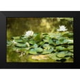 thumbnail image 2 of Berzel, Erin 24x17 Black Modern Framed Museum Art Print Titled - Lotus Pond II, 2 of 5