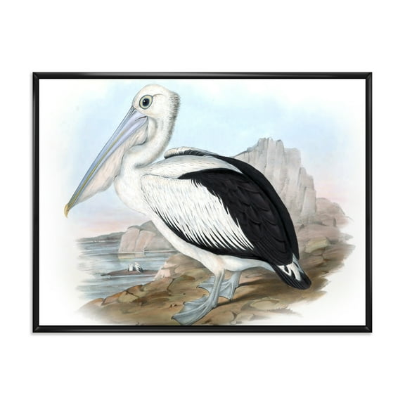 Designart 'Ancient Australian Birds VIII' Traditional Framed Canvas Wall Art Print