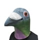 thumbnail image 2 of Disfraz de cosplay realista de color verde paloma con máscara de cabeza de animal, 2 of 2