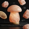 thumbnail image 3 of Himalayan Salt Lamp - Pink Crystal with Anti-Corrosion Wooden Base, Dimmable Night Light for Bedroom Decor & Meditation, 3 of 10