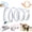Blue-A, variant on Spiral Tunnel Cat Toy Foldable Steel Wire Elastic Mesh S Type Tunnel with Mouse for Indoor Cat Play