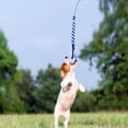 thumbnail image 5 of UEETEK Retractable Dog Interactive Stick Extendable Flirt Pole Funny Chasing Tail Teaser and Exerciser for Pets (Black, Size L), 5 of 5