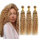 thumbnail image 1 of Hair Bundles Nuailisex P27/613, rubio y rizado, 25-35 cm, 1 of 8