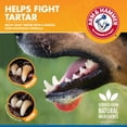 thumbnail image 4 of Arm & Hammer For Pets Tartar Control Dental Spray for Dogs Mint Flavor 4 oz., 4 of 9