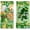 St Patricks-2026, variant on Easter Kitchen Towels, Easter Bunny Towels Set of 2, Happy Easter Eggs Dish Hand Towels for Kitchen with Buffalo Plaid Farmhouse Spring Gifts Decorations for Home, 18x26 Inches