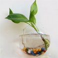 thumbnail image 4 of Pot de Fleurs Suspendu Vase Boule en Verre Terrarium Mural Bac à Poissons Contenant d'Aquarium, 4 of 5