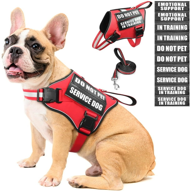 Set de chaleco, arnés y correa para perros de servicio MOOGROU rojo talla M