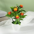 thumbnail image 4 of Realistic Artificial Pachycarpus Fortunei Bonsai Tree for Home Decor - Fake Plant Centerpiece for Coffee Table, Shelf, or Photography Props, 4 of 6