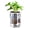 Q, variant on Ruanlalo Aquaponic Betta Fish Tank Transparent Plastic Shatterproof Planter Ecosystem Aquarium Desktop Aquaponic System for Betta Fish Houseplants