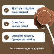 Vital Proteins Chocolate Collagen Peptide, 13.5 oz