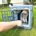 thumbnail image 4 of Transportadora plegable para mascotas 48 cm, jaula portátil para perros y gatos, estructura de plástico, con puerta y ventilación, caja de viaje cómod, 4 of 8