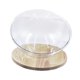 thumbnail image 3 of Cama para gatos en forma de cápsula transparente, perrera, centro de actividades, cama Universal para mascotas pequeñas, juguete, cama semicircular, 40cm, 3 of 7