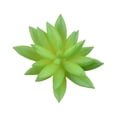 thumbnail image 2 of 10 piezas de suculentas falsas Yuarrent decorativas tipo 24, 2 of 6