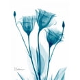 thumbnail image 2 of Koetsier, Albert 15x18 White Modern Wood Framed Museum Art Print Titled - Three Gentian in Blue, 2 of 4