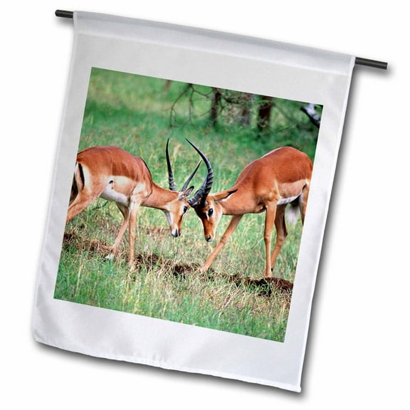 3dRose, Impala herd, antelope, Tanzania Africa - NA02 DNO0352 - David Northcott, 12 x 18 inch Garden Flag