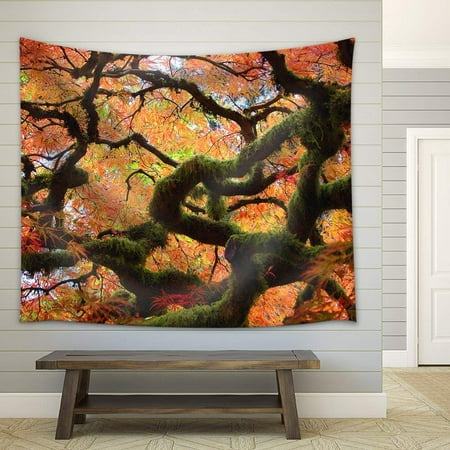 wall26 - Gnarly Japanese Maple Tree - Fabric Wall Tapestry Home Decor - 68x80