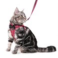 thumbnail image 1 of Arnés a prueba de escape para gatos y gatitos con juego de correa Arnés para perros pequeños Arneses ajustables para mascotas, 1 of 2