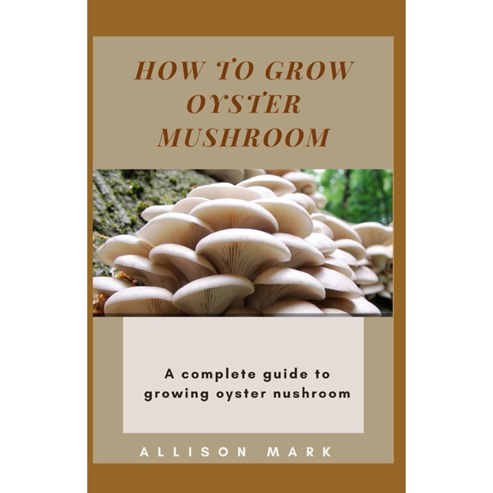 How to Grow Oyster Mushroom A complete guide to growing oyster