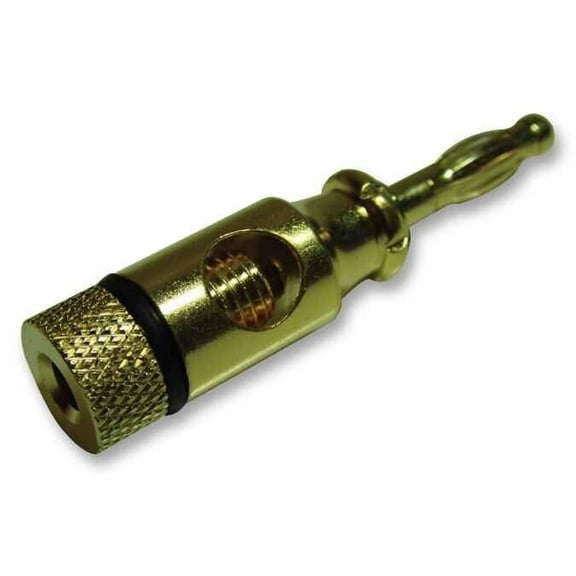 PRO SIGNAL - 4mm Plug, Gold / Black