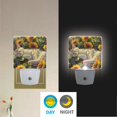 thumbnail image 5 of Cat Sleeping in Sunflowers Night Light 2 Pack LED Nightlight Plug into Wall Dusk to Dawn Sensor Soft White, 5 of 7