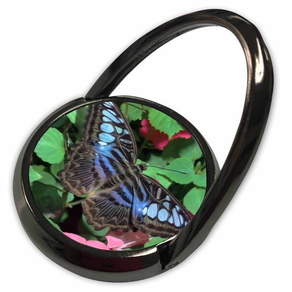 3dRose, S.E. Asia habitat. The Blue Clipper butterfly - NA02 CCR0003 - Charles Crust, Phone Ring
