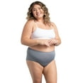 thumbnail image 3 of Fruit Of The Loom Womens Plus Size Fit For Me Microfiber Brief Panty 6 Pack, 10, 3 of 11