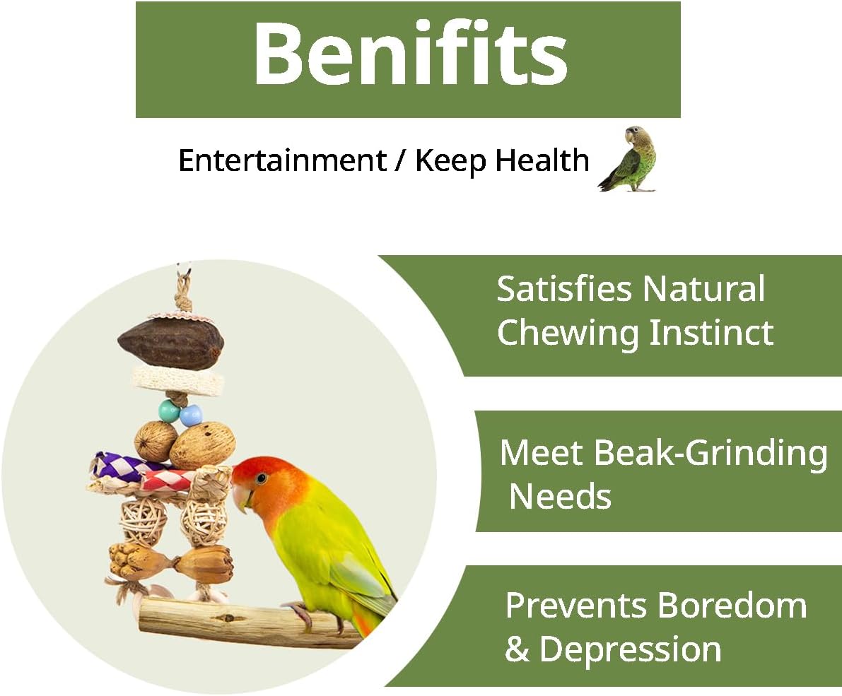 GYTY  Bird Toys Parrot Parakeet Chewing Toys- 6Pcs Hanging Cage Accessories with Natural Wood for Small Medium Budgie Conure Cockatie Lovebird