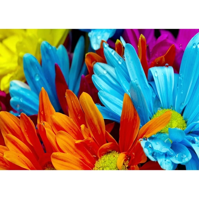 Pintura de diamante (DB3143) Plantas 5D DIY Punto de cruz cuadrado (Flor-t442) 50x70cm Hugtrwg Para estrenar