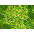 thumbnail image 1 of Ahgly Company Indoor Rectangle Patterned ForestGreen Area Rugs, 3' x 5', 1 of 6