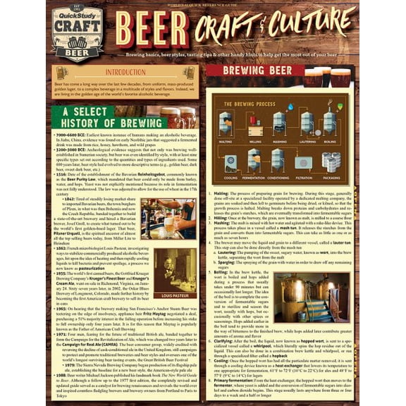 Pre-Owned Beer - Craft & Culture : QuickStudy Laminated Reference Guide to Brewing, Ingredients, Styles & More (Edition 2) (Other)