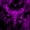 Magenta Purple, variant on Feelyou Horror Bat Skull Full Size Comforter Sets, Red Butterfly Halloween Bedding Comforter Set, Black Reversible, 3pcs, 1 Comforter and 2 Pillowcases