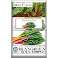 thumbnail image 5 of Rainbow Swiss Chard Seeds, 300+ Heirloom Seeds Per Packet, (Isla's Garden Seeds), Non GMO Seeds, Botanical Name: Beta vulgaris subsp. cicla, 5 of 6