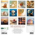 thumbnail image 2 of Willow Creek Press, Seashells 2025 Wall Calendar, 2 of 4