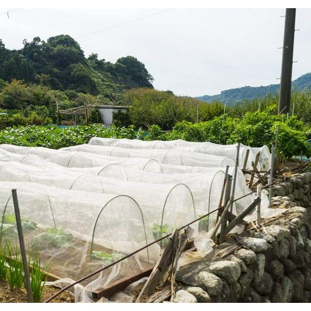Jardin Filet Anti Insecte Potager: 3 x 5 m Maille Fine Protection pour  Poireaux Arbre Fruitier Jardinage Voile de Plantes Blanche 