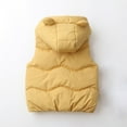 thumbnail image 5 of Chbgutlmr Baby Boy Girl Clothes Hoodies Winter Warm Sleeveless Vests Coat Kid Quilted Tank Tops with Pockets, 5 of 8