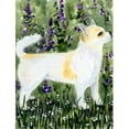 thumbnail image 1 of 11 x 15 In. Chihuahua Flag, Garden Size, 1 of 1
