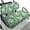 Frangipani Palm Leaves, variant on Yuyamidu Frangipani Golf Cart Seat Covers for 2-Person Seats Palm Leaves Car Seat Protector Green Golf Cart Back Rest Cover Set of 2, Easy to Install