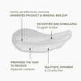 thumbnail image 5 of KEVIN.MURPHY MAXI.WASH, Detox Shampoo for Buildup & Scalp, Colour Safe, 250 mL, 5 of 8